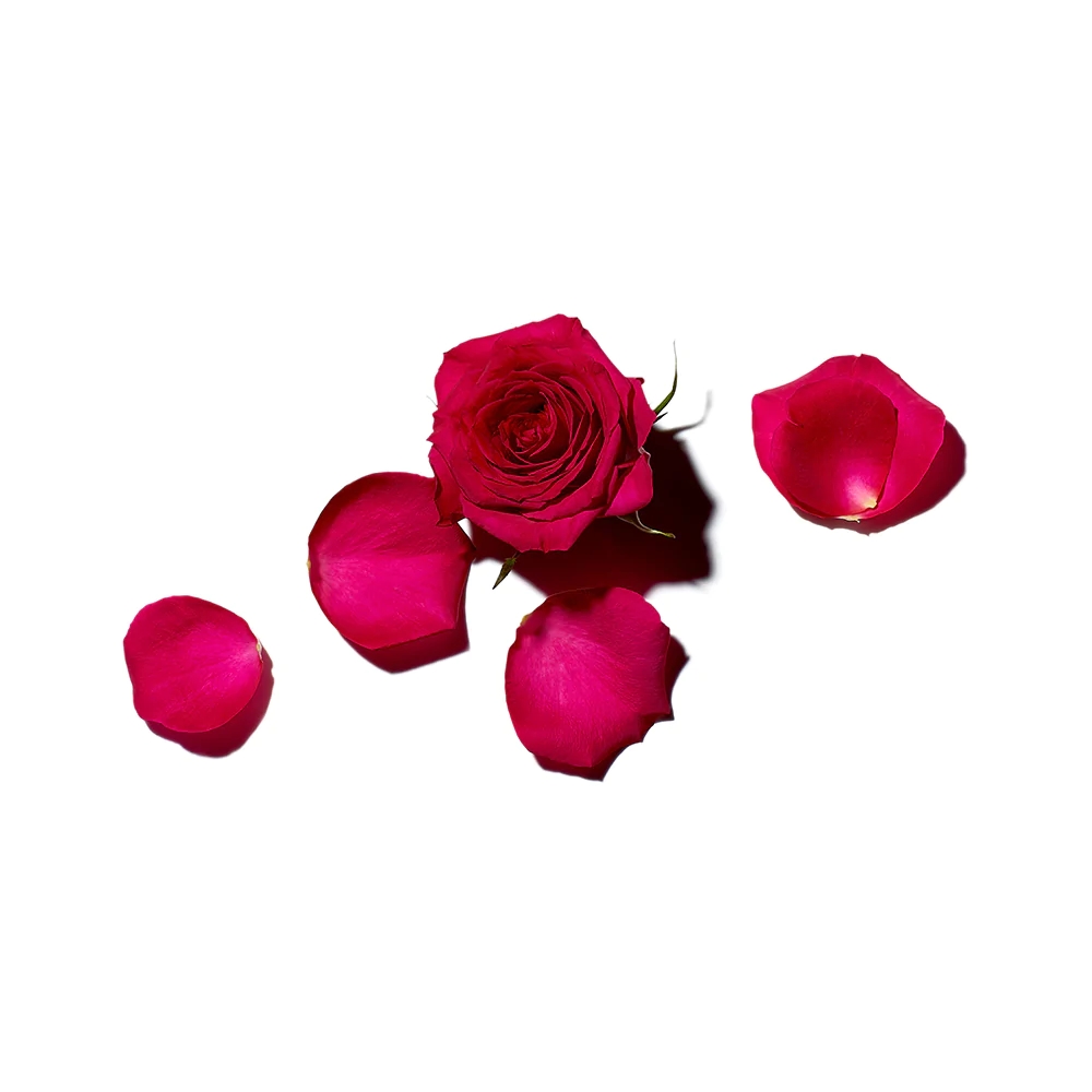 Kinkekomplekt Rose Amelie (kuivõli 100ml + kätekreem 30ml + seep 100g) – detail
